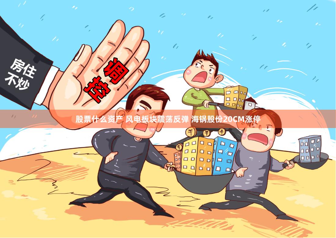 股票什么资产 风电板块震荡反弹 海锅股份20CM涨停