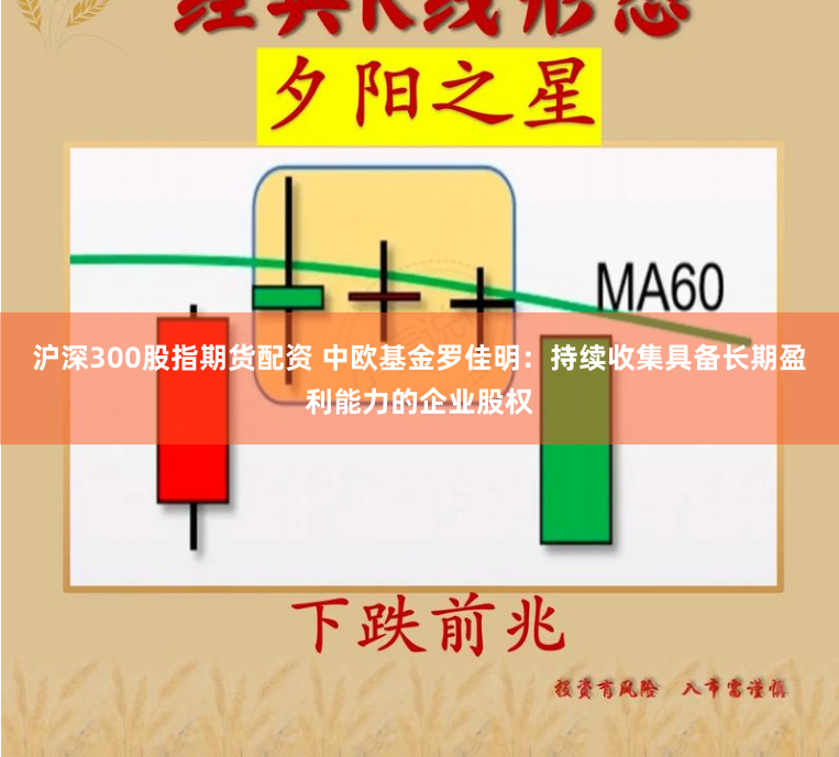 沪深300股指期货配资 中欧基金罗佳明：持续收集具备长期盈利能力的企业股权