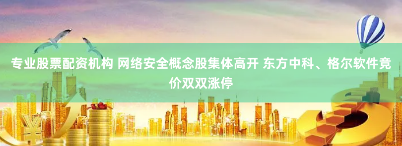 专业股票配资机构 网络安全概念股集体高开 东方中科、格尔软件竞价双双涨停