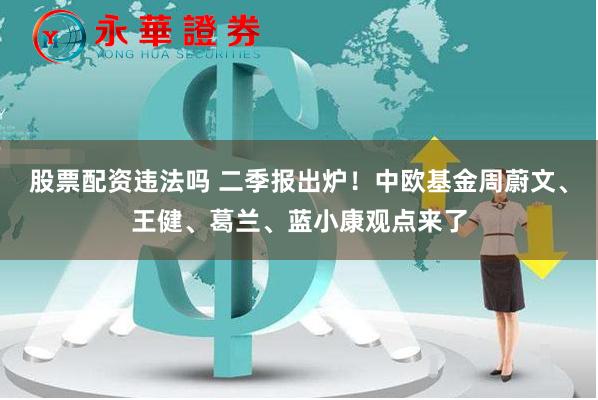 股票配资违法吗 二季报出炉！中欧基金周蔚文、王健、葛兰、蓝小康观点来了