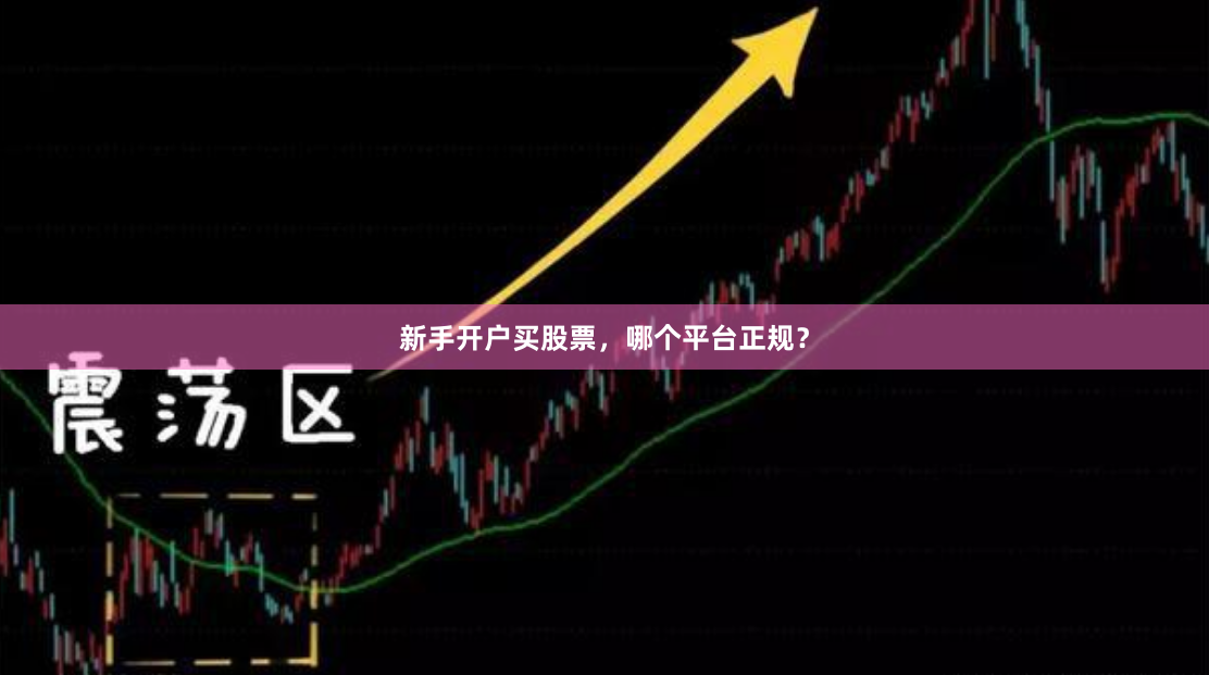新手开户买股票，哪个平台正规？