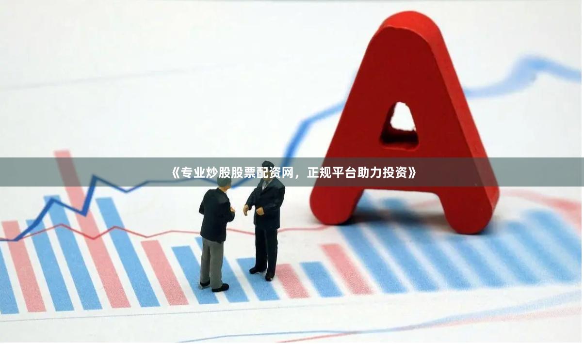 《专业炒股股票配资网，正规平台助力投资》