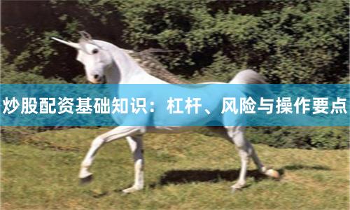 炒股配资基础知识：杠杆、风险与操作要点