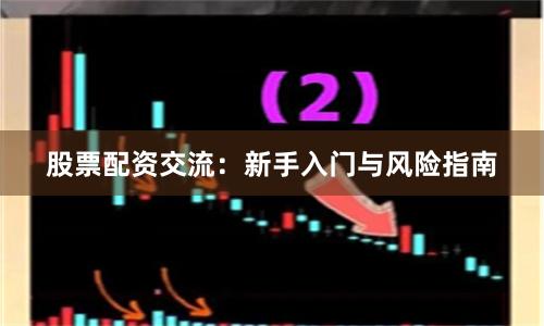 股票配资交流:新手入门与风险指南