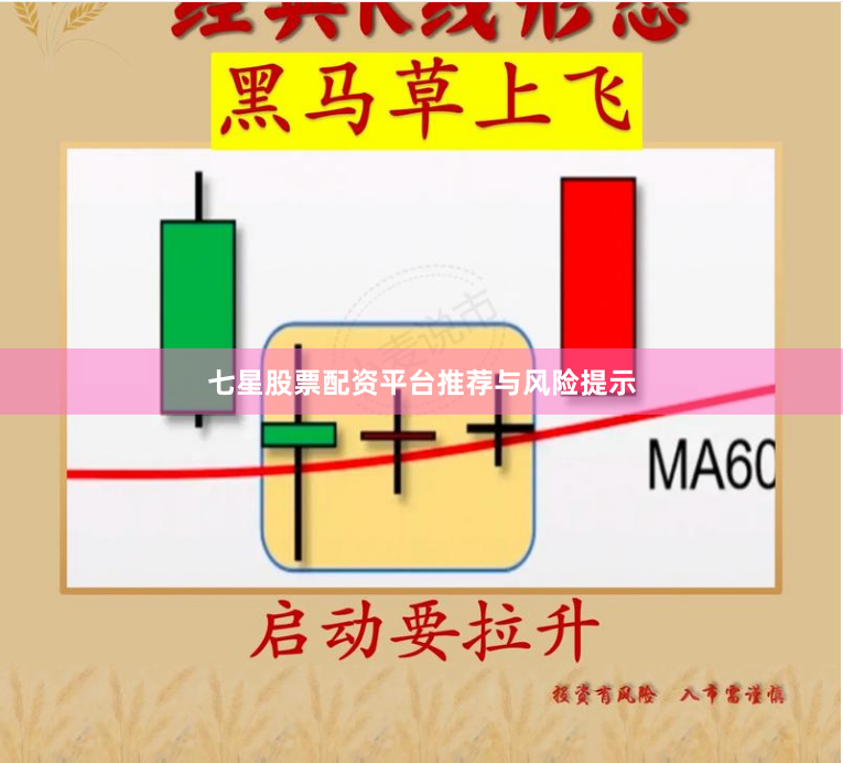七星股票配资平台推荐与风险提示